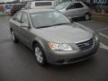 Willow Gray - Sonata GLS Photo No. 1
