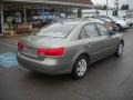 Willow Gray - Sonata GLS Photo No. 3
