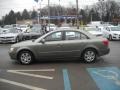 Willow Gray - Sonata GLS Photo No. 6