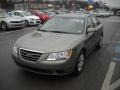 Willow Gray - Sonata GLS Photo No. 7
