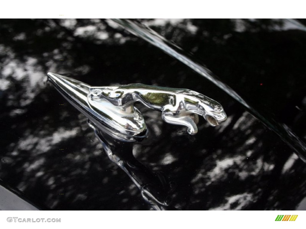 2002 Jaguar X-Type 3.0 Jaguar Hood Orniment Photo #56872472
