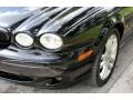 2002 Ebony Black Jaguar X-Type 3.0  photo #18