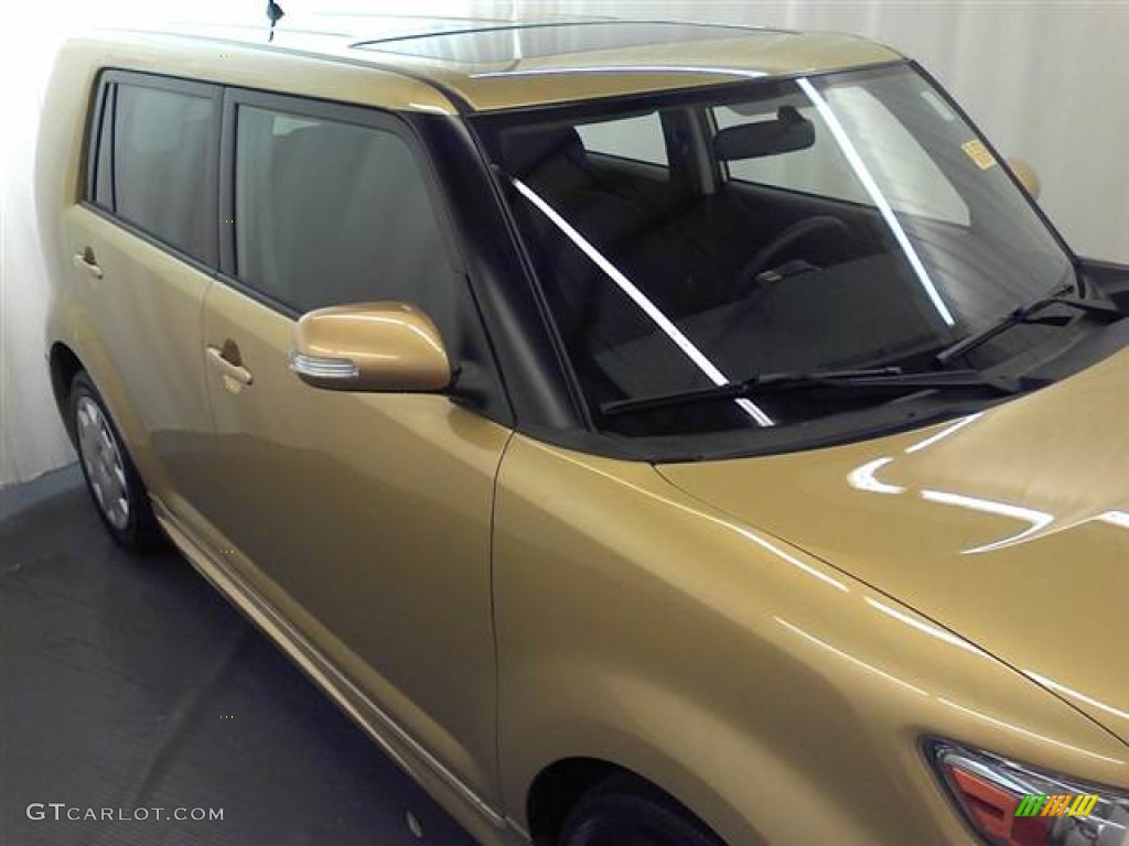 2008 xB Release Series 5.0 - Gold Rush Mica / Dark Gray photo #20