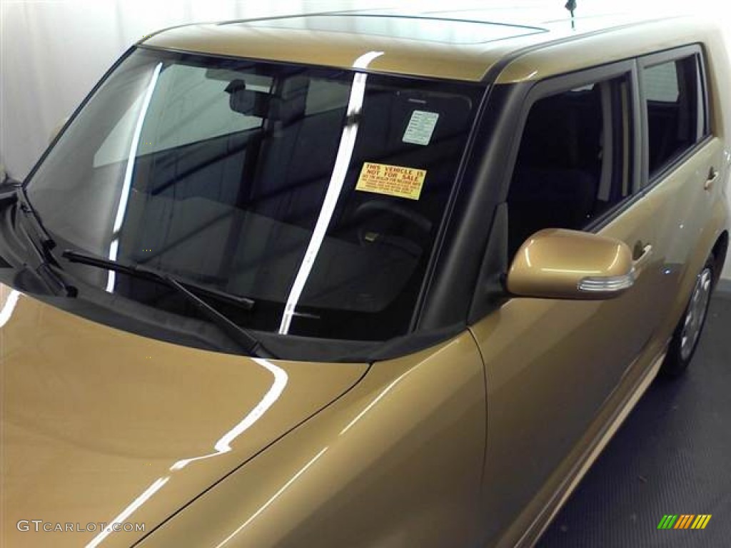 2008 xB Release Series 5.0 - Gold Rush Mica / Dark Gray photo #21