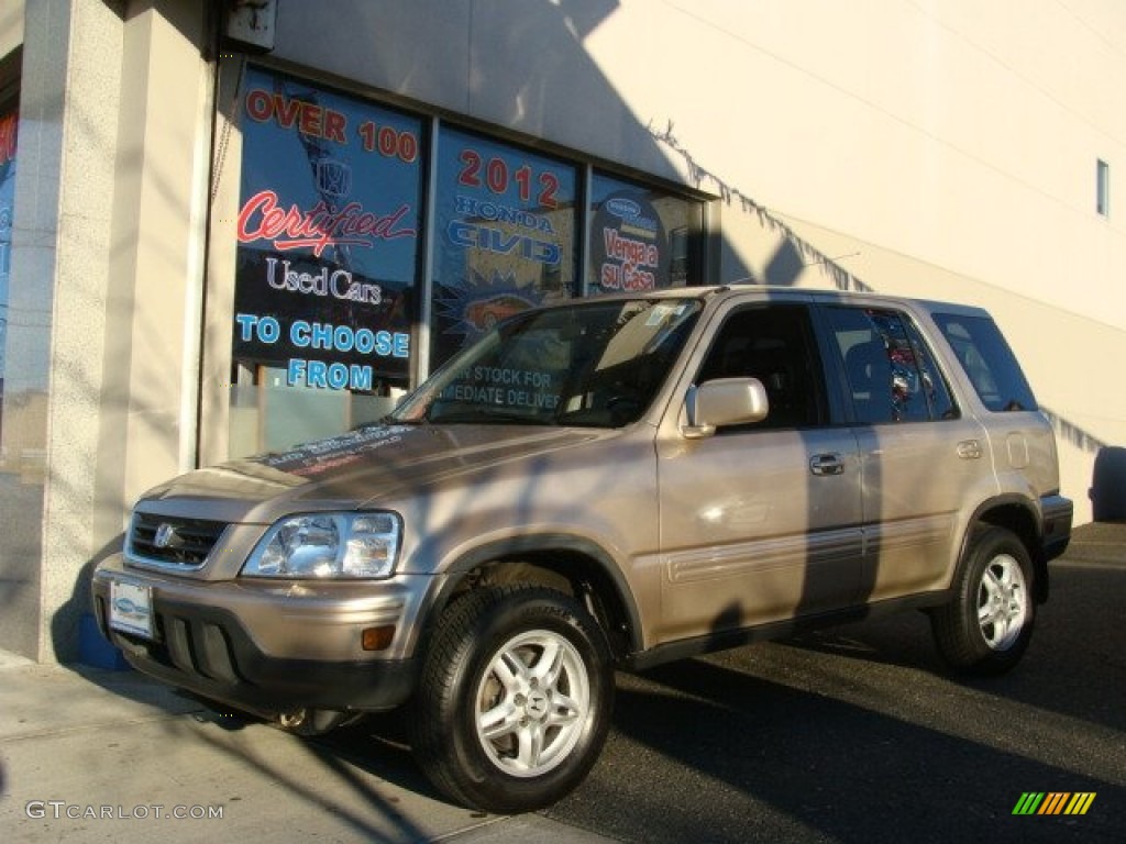 2001 CR-V Special Edition 4WD - Naples Gold Metallic / Dark Gray photo #1