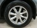 Diamond Graphite Metallic - FX 35 AWD Photo No. 14