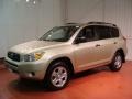 Savannah Metallic - RAV4 4WD Photo No. 1