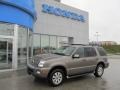 Mineral Grey Metallic - Mountaineer Luxury AWD Photo No. 1