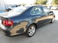 2009 Blue Graphite Metallic Volkswagen Jetta TDI Sedan  photo #7