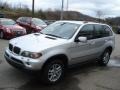 Titanium Silver Metallic - X5 3.0i Photo No. 4
