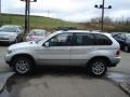 Titanium Silver Metallic - X5 3.0i Photo No. 5