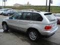 Titanium Silver Metallic - X5 3.0i Photo No. 6