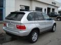 Titanium Silver Metallic - X5 3.0i Photo No. 8