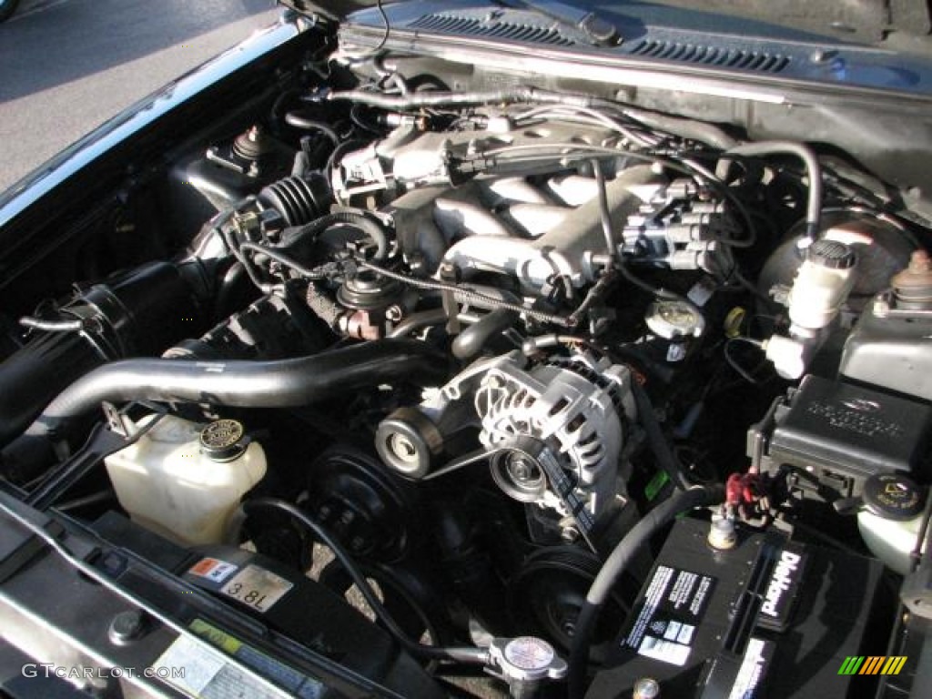 2001 Mustang V6 Coupe - Black / Medium Graphite photo #19