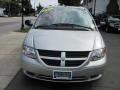 2007 Bright Silver Metallic Dodge Caravan SE  photo #18