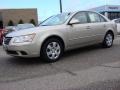 Camel Pearl - Sonata GLS Photo No. 2