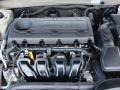 Camel Pearl - Sonata GLS Photo No. 19