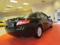 2011 Spruce Green Mica Toyota Camry LE  photo #8