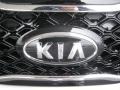 2012 Bright Silver Kia Sorento EX V6  photo #25