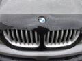 2006 Sterling Grey Metallic BMW X5 4.4i  photo #37