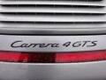 Platinum Silver Metallic - 911 Carrera 4 GTS Coupe Photo No. 23