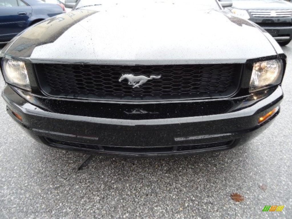 2006 Mustang V6 Premium Coupe - Black / Dark Charcoal photo #28