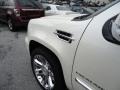 2010 White Diamond Cadillac Escalade Platinum AWD  photo #53