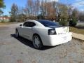 Stone White - Charger  Photo No. 4