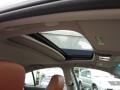 Umber Brown Sunroof Photo for 2010 Acura TL #56917453
