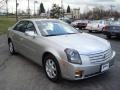 Light Platinum - CTS Sedan Photo No. 3