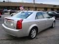 Light Platinum - CTS Sedan Photo No. 4