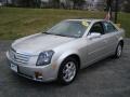 Light Platinum - CTS Sedan Photo No. 5