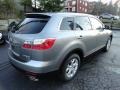 Liquid Silver Meatllic - CX-9 Touring AWD Photo No. 5
