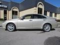 Satin Cashmere Metallic - ES 350 Photo No. 1