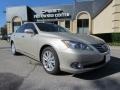 Satin Cashmere Metallic - ES 350 Photo No. 5