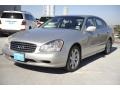 Titanium Silver - Q 45 Photo No. 3