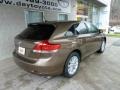 Golden Umber Mica - Venza I4 AWD Photo No. 2