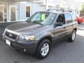 Dark Shadow Grey Metallic - Escape Hybrid 4WD Photo No. 2