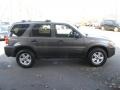 Dark Shadow Grey Metallic - Escape Hybrid 4WD Photo No. 5