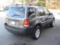 Dark Shadow Grey Metallic - Escape Hybrid 4WD Photo No. 6