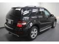 Black - ML 350 Photo No. 12