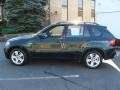 Deep Green Metallic - X5 xDrive30i Photo No. 8