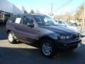 Toledo Blue Metallic - X5 3.0i Photo No. 3