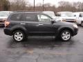 2010 Dark Gray Metallic Subaru Forester 2.5 X Premium  photo #7