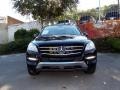 Black - ML 350 4Matic Photo No. 5
