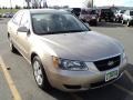 Golden Beige - Sonata GLS Photo No. 11