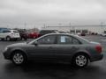 Willow Gray - Sonata GLS Photo No. 11
