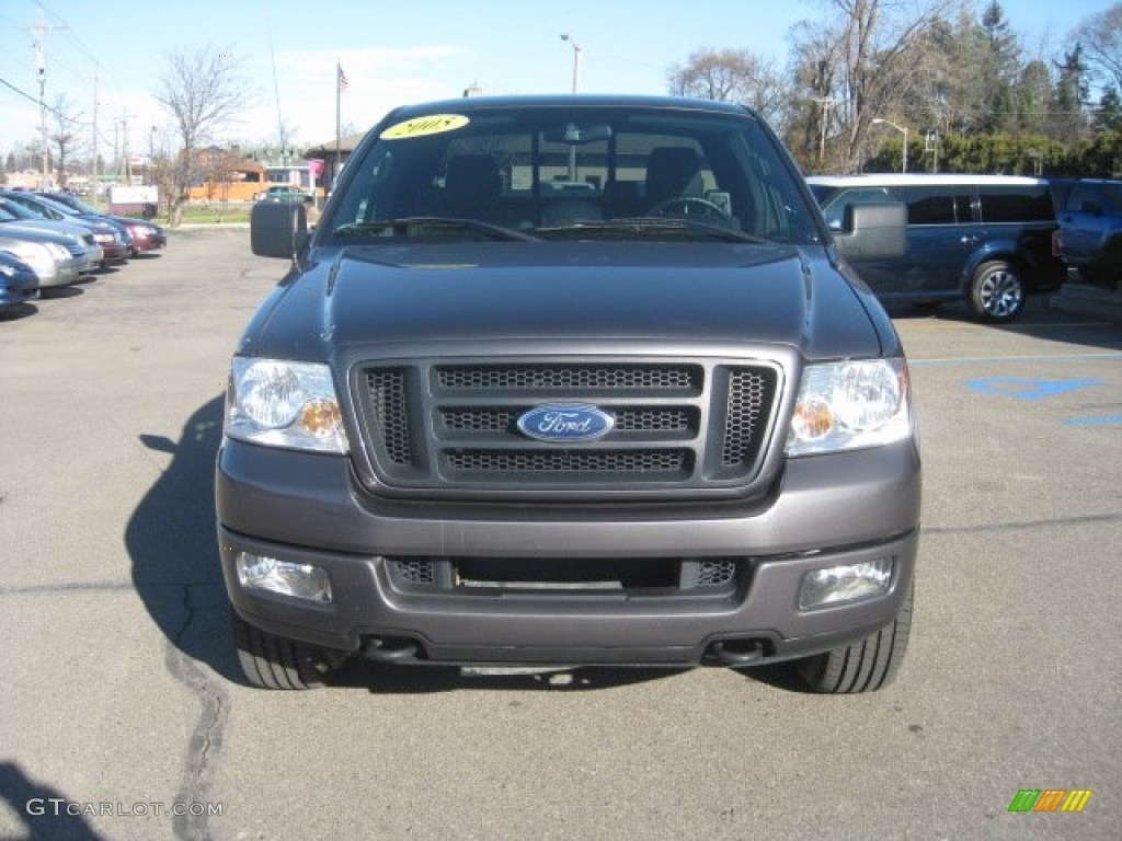 2005 F150 FX4 SuperCab 4x4 - Dark Shadow Grey Metallic / Black photo #10