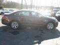 Cinnamon Metallic - Taurus SEL Photo No. 4