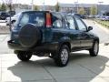 Clover Green Pearl - CR-V LX Photo No. 5